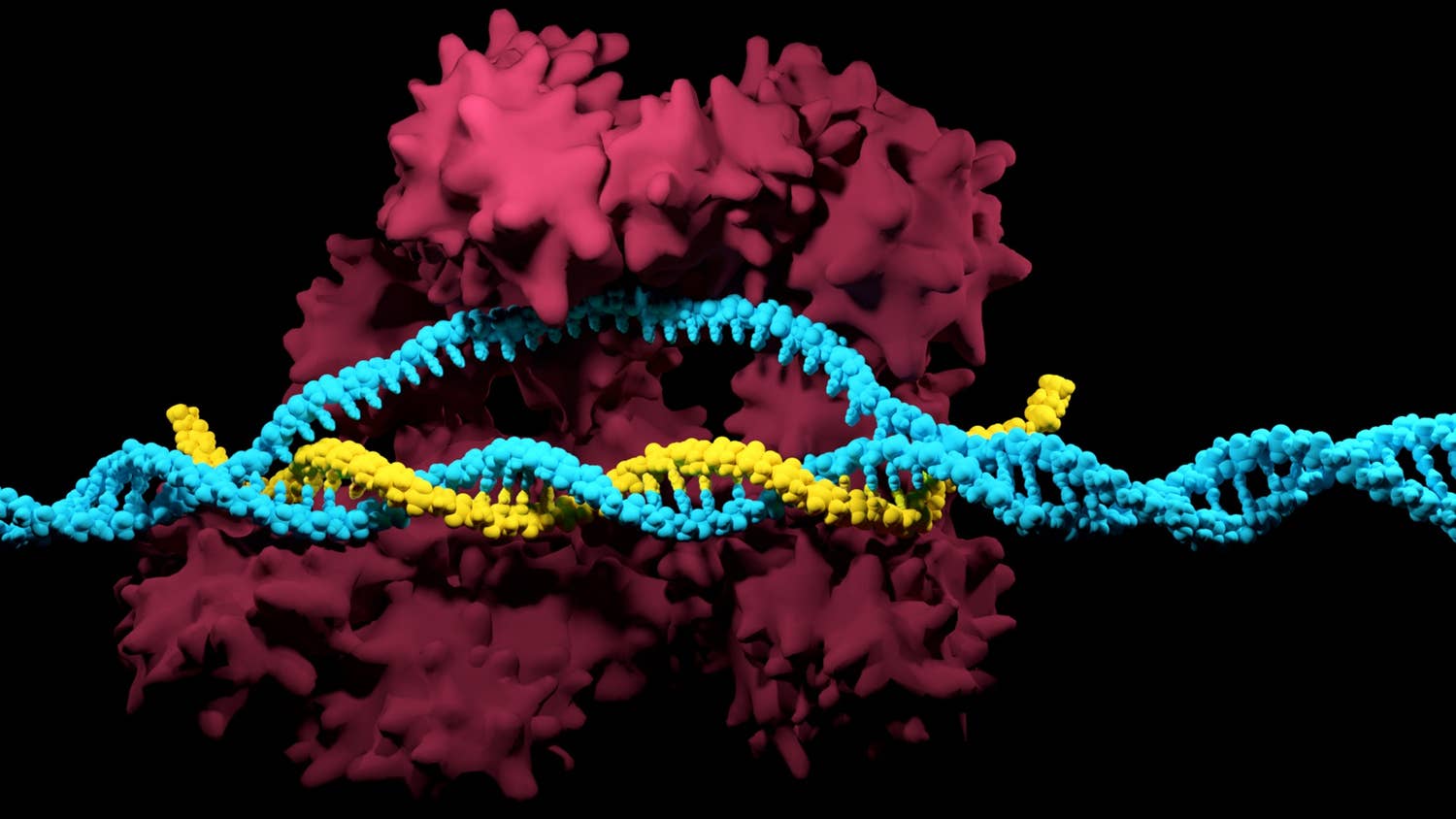 Epigenetics Meets CRISPR/Cas to Fight Cancer