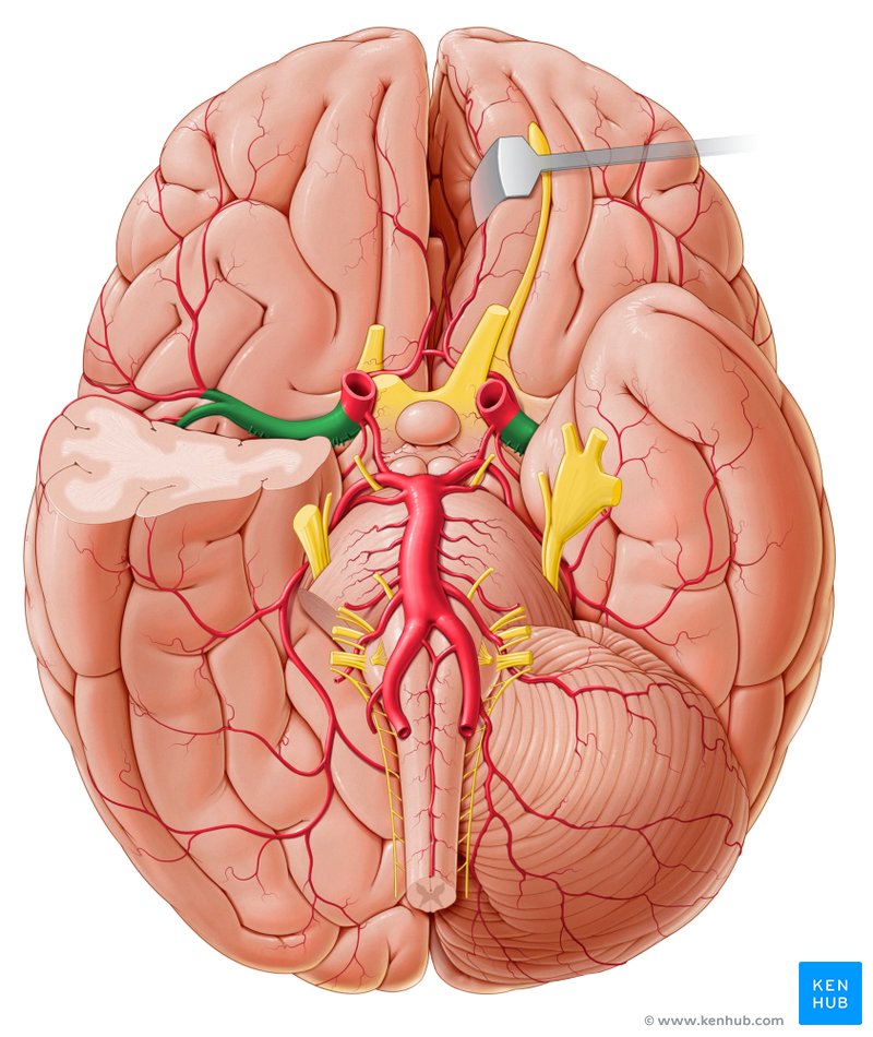 Fetal Doppler Velocimetry of The Middle Cerebral Artery in HypertensiveDisorders of Pregnancy, In Kano, Nigeria
