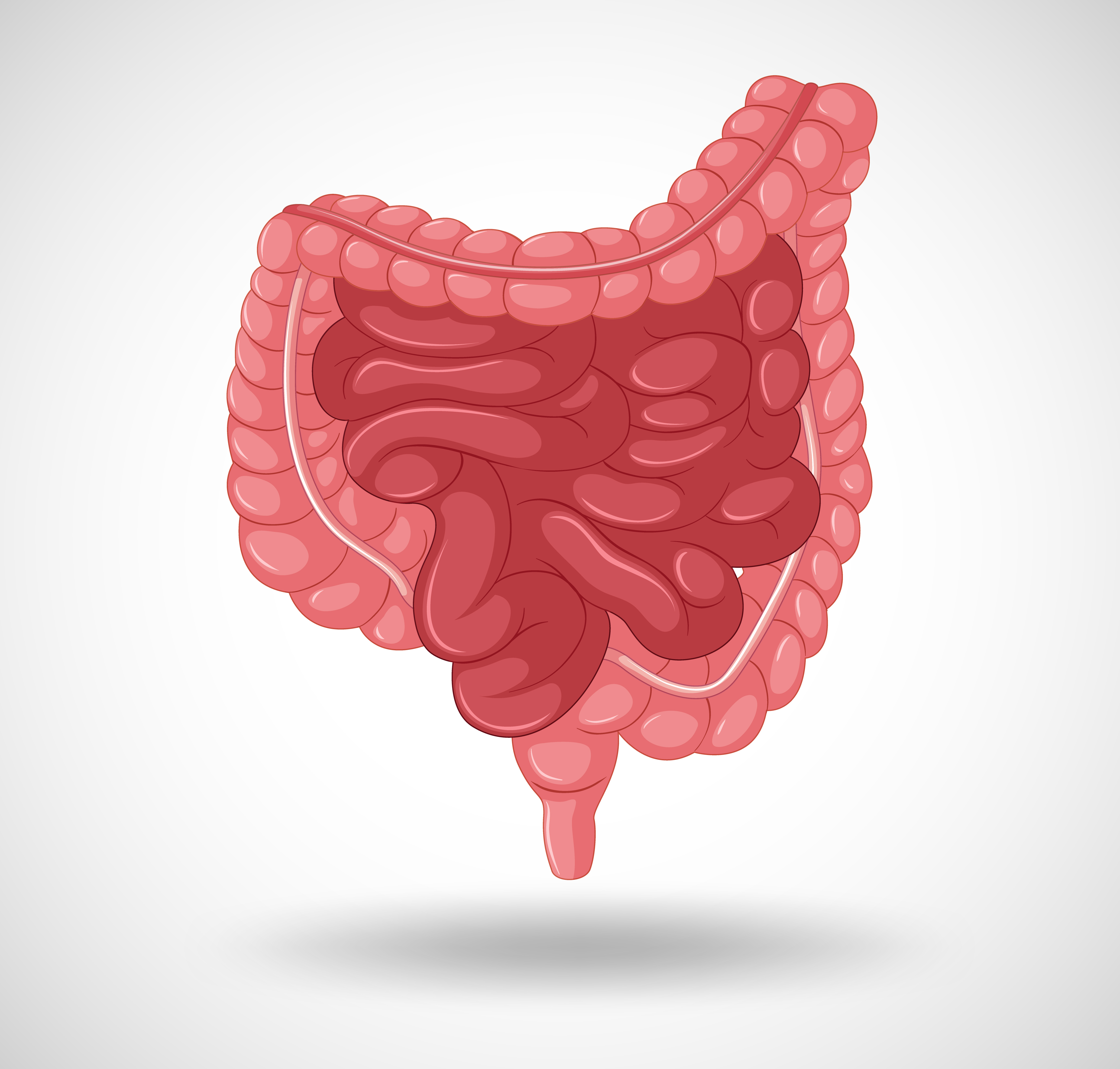 Comparison of Adenosine deaminase (ADA) and Antigen 125 (CA-125) level in Patients with Colon Cancer and Healthy Control