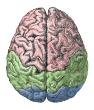 Bilateral Cerebral Infarcts on Diffusion-Weighted Imaging Predict Etiology  of Stroke