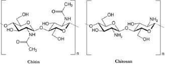 Different Chitosan-Based Biomaterials and their Biomedical Applications