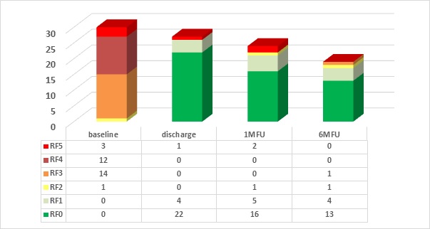 Investigating the Rotarex®S Catheter in Femoropopliteal In-Stent Occlusion – 6-Month Results in the Robinson (Rotarex Belgian In-Stent Occlusion) Study