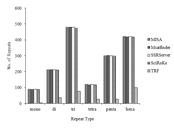 A Comparative Study of Various Simple Sequence Repeats Identification Tools Using Aspergillus Fumigatus Genome