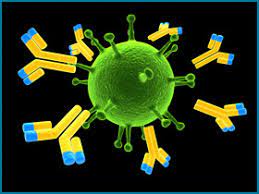 Allogenic Stem Cell Transplant for A Rare Case of Cerc1 Mutation Presenting as Congenital Neutropenia