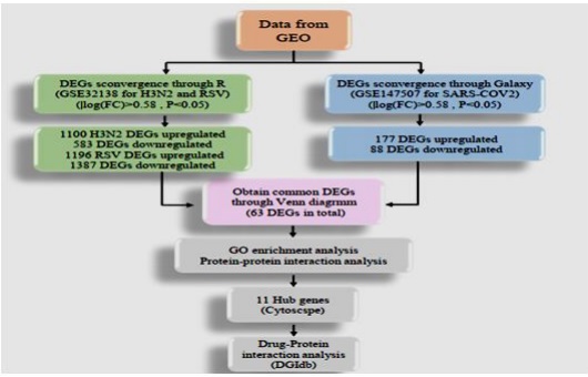 Comparative Transcriptomic Analysis Between SARS-COV-2, RSV And Influenza H3N2 Patients Highlights the Use Of IL-6 Inhibitors