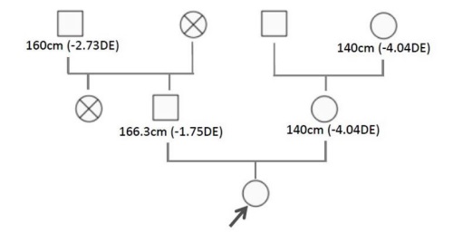 Therapy with Growth Hormone in a Patient with Short Stature Secondary to a Mutation in the Acan Gene. About a Case