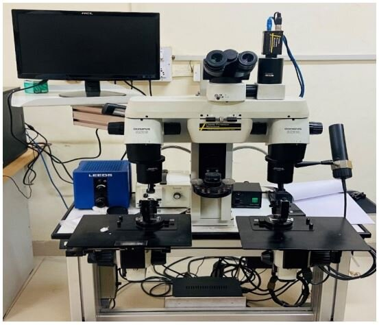 Microscopy in Forensic Odontology: Scope and Applications