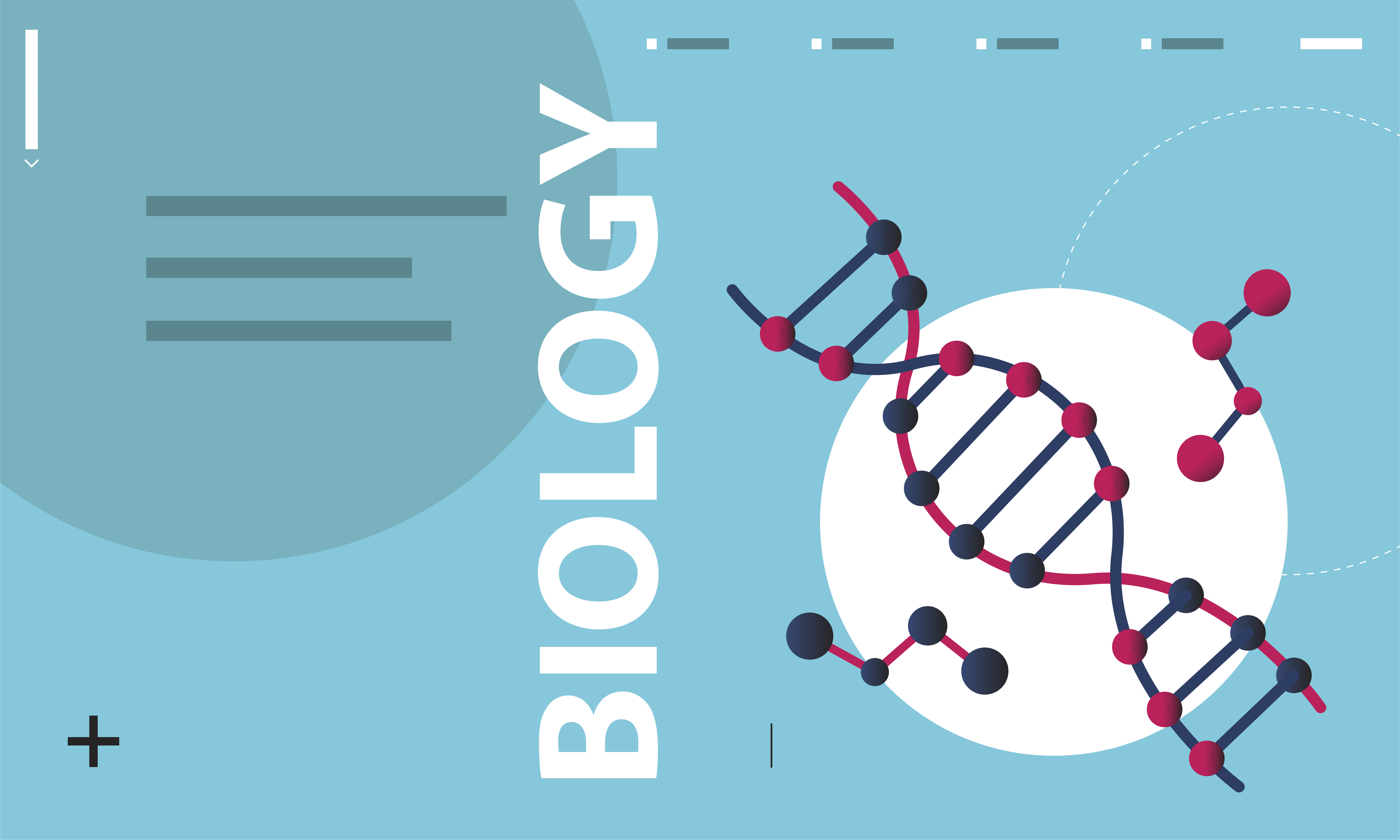 A Case Report of Fetal Genetic Diagnosis of Sanfilippo Syndrome Jacqueline A